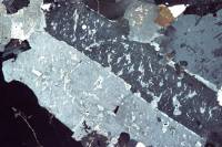 Orthose (feldspath) LPA x5